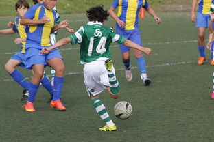 爱游戏登录-巴西外援帽子戏法，上海绿地申花加时2:1胜武汉卓尔