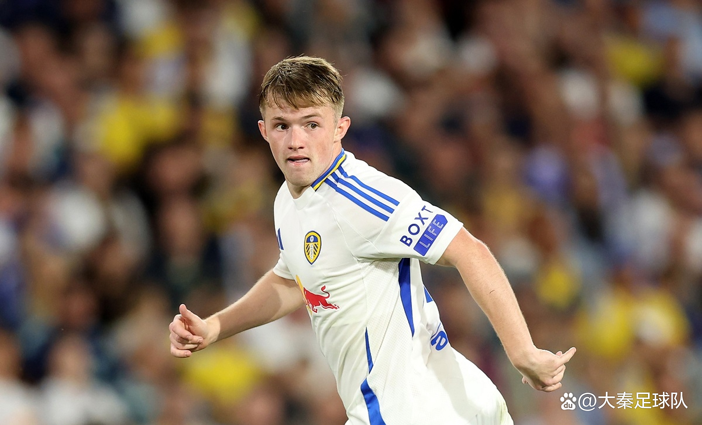 关于利兹联年轻后卫崭露头角,展现出色表现的信息 关于利兹联年轻后卫崭露头角,展现出色表现的信息