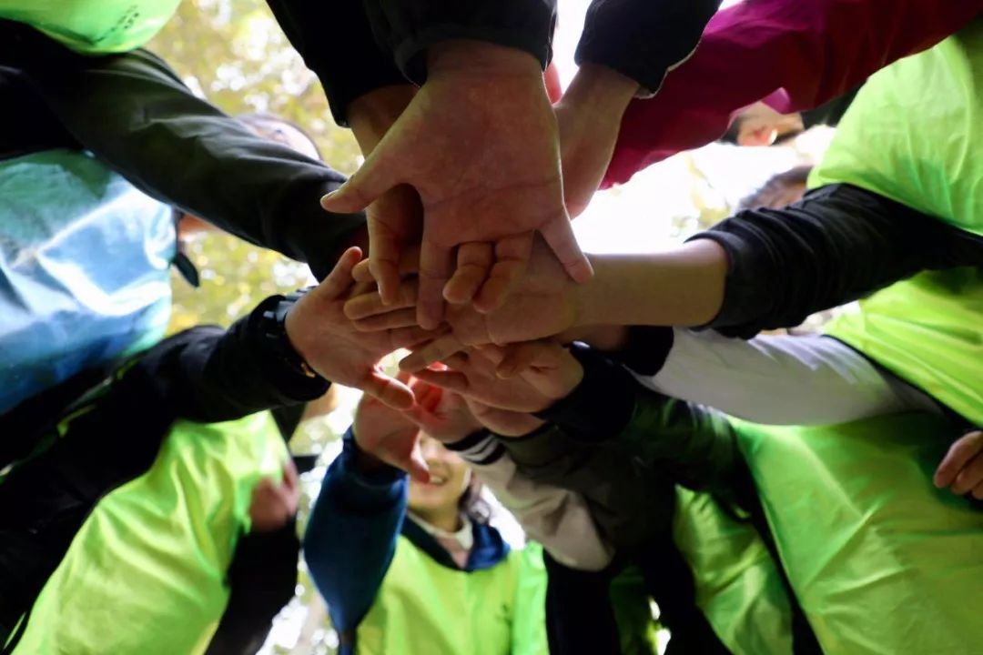 包含逆境挑战团队凝聚力，铸就辉煌战绩的词条